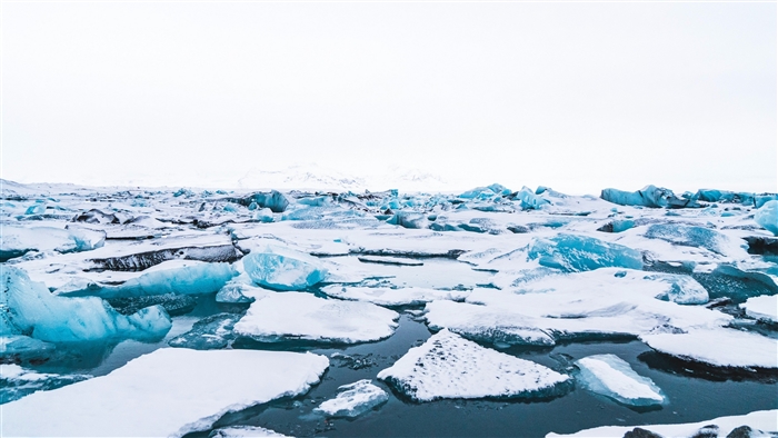 Icebergs floating in water with mountains in the background 4K