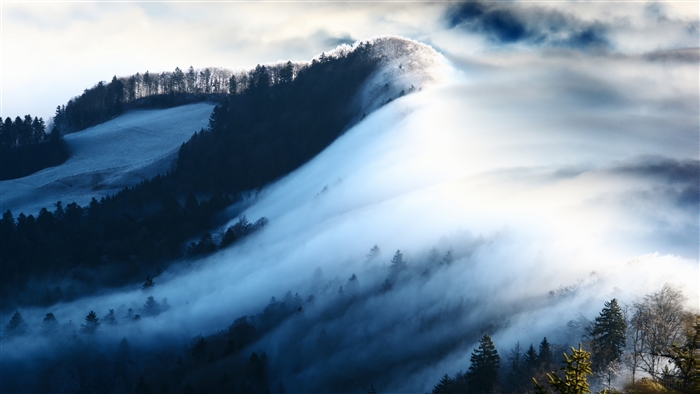 Misty mountains with trees and snow