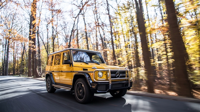 Yellow Mercedes-AMG G 63 driving on a road in autumn forest