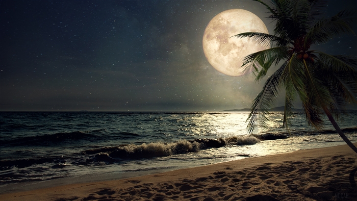 Full Moon over a Tropical Beach at Night