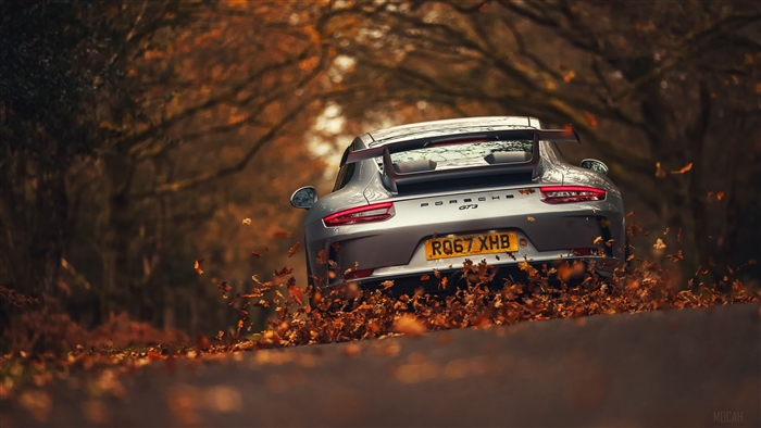 Silver Porsche 911 GT3 Driving Through Autumn Leaves 4K