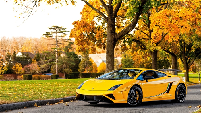 Yellow Lamborghini Gallardo parked on a road in autumn