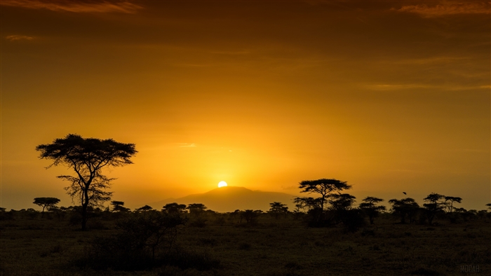 Sunrise over the Savannah in Tanzania 4K