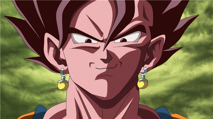 Vegito from Dragon Ball Super 4K