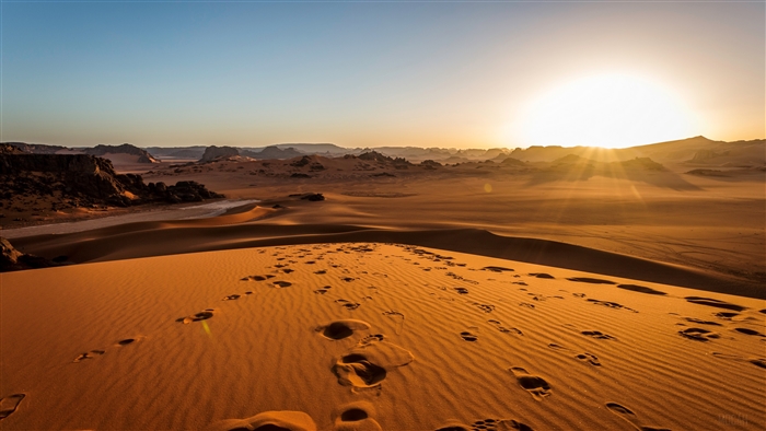 Sahara Desert Dunes at Sunrise 4K