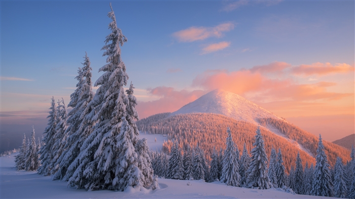 Snowy Mountain Forest at Sunset 4K