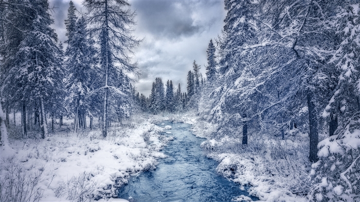 Snowy Forest with River 4K