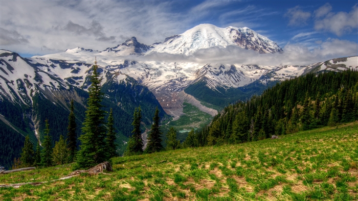 Mount Rainier with Snow and Forest 4K