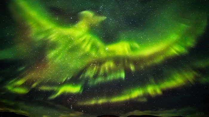 Aurora Borealis in the Night Sky 4K
