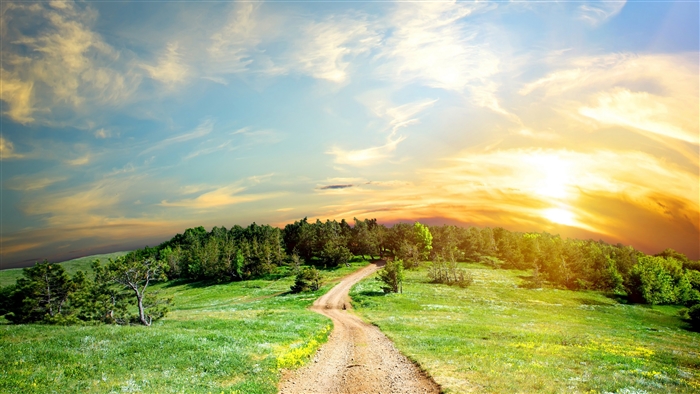 Dirt Path Through Green Hills at Sunset 4K