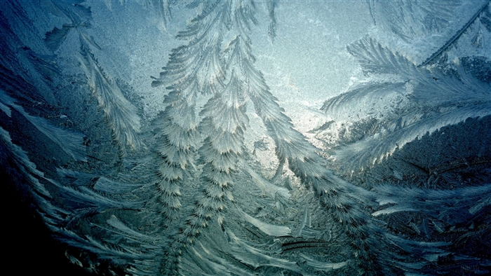 Ice formations on a window in winter 4K