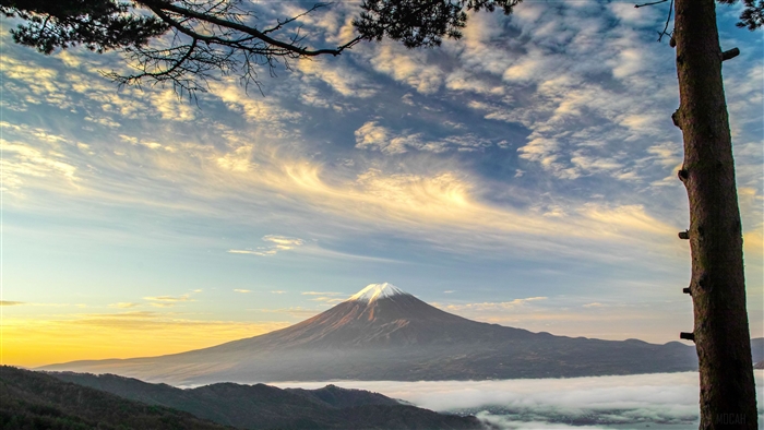 Mount Fuji volcano with clouds and tree