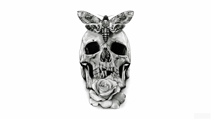 Skull with Death's-head Hawkmoth and Rose