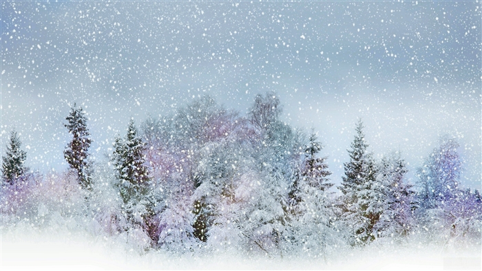 Snowy forest with falling snow