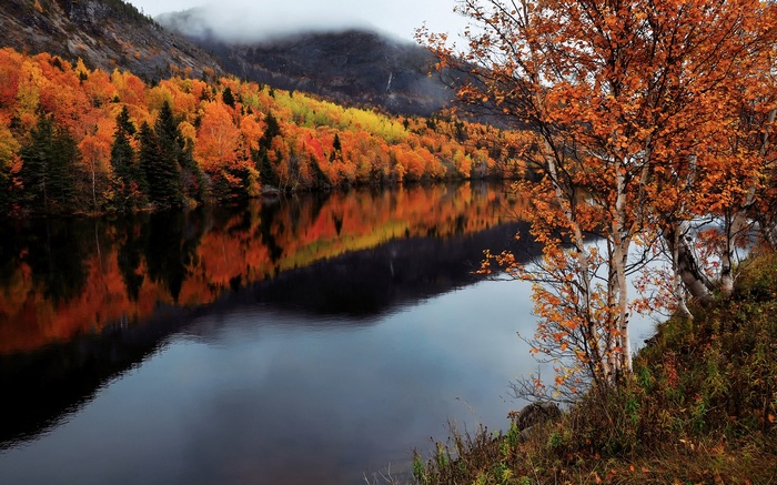 Autumn trees reflected in a calm lake