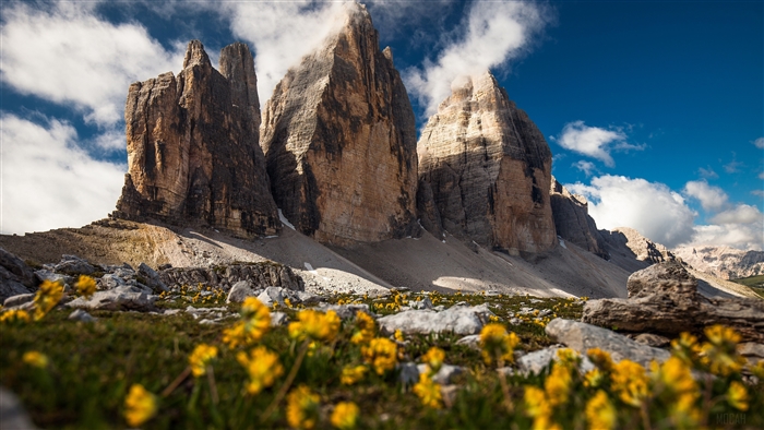 Dolomites Mountains with Yellow Flowers and Blue Sky