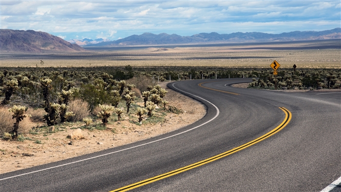 Desert Road with Cholla Cactus and Mountains 4K