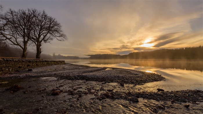 Foggy Lake Sunrise with Trees and Stone Wall 4K
