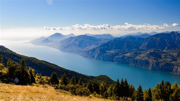 Mountain landscape with a lake and trees 4K