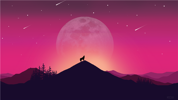 Wolf howling at the moon on a mountain 4K