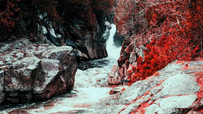 Waterfall in a rocky gorge with red foliage