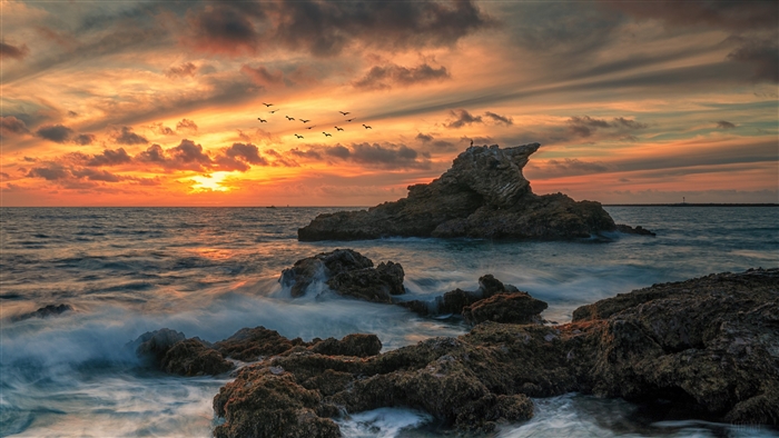 Ocean Sunset with Rocks and Birds 4K
