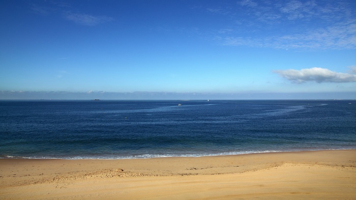 Sandy beach and blue ocean under a clear sky