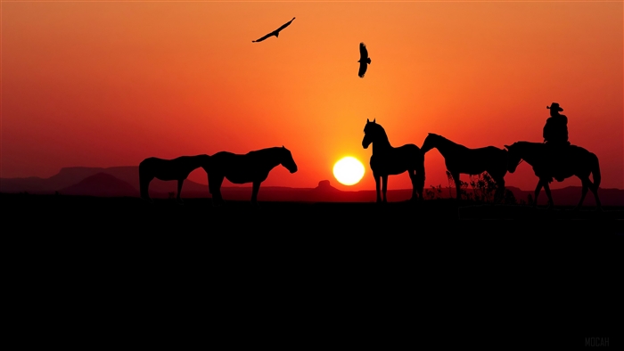Sunset with Horses and Cowboy Silhouette 4K