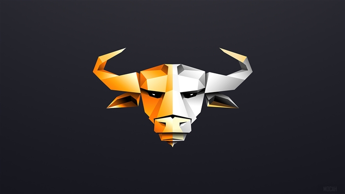 Minimalist Bull Head 4K