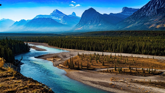Forest Landscape with Mountains and River 4K