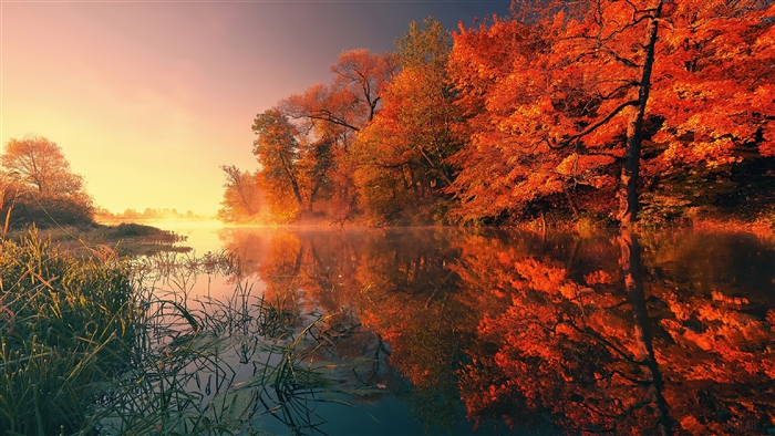 Autumn trees reflecting in a lake at sunrise
