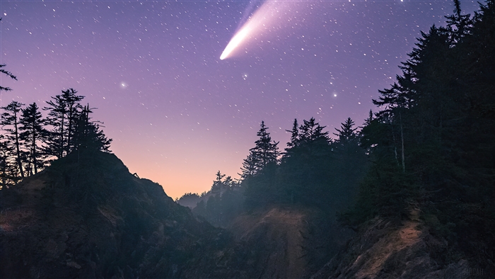 Comet Over Oregon Coast Trees 4K