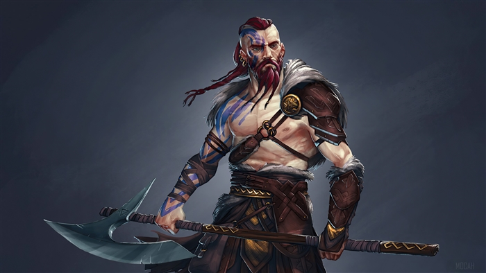 Viking Warrior