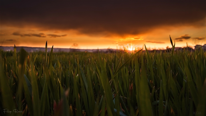 Sunset over Herzegovina Fields 4K