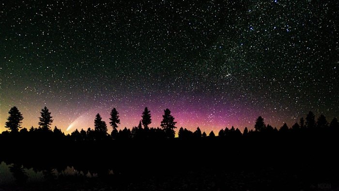 Comet over pine forest at night 4K