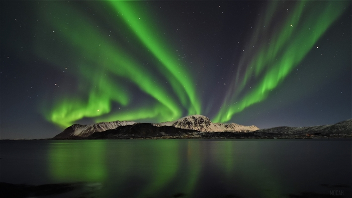 Aurora Borealis over Lofoten Bay 4K