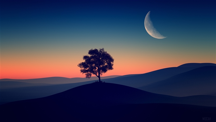 Lone tree on a hill at dusk with a crescent moon