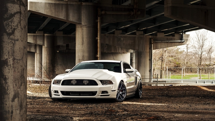 White Ford Mustang