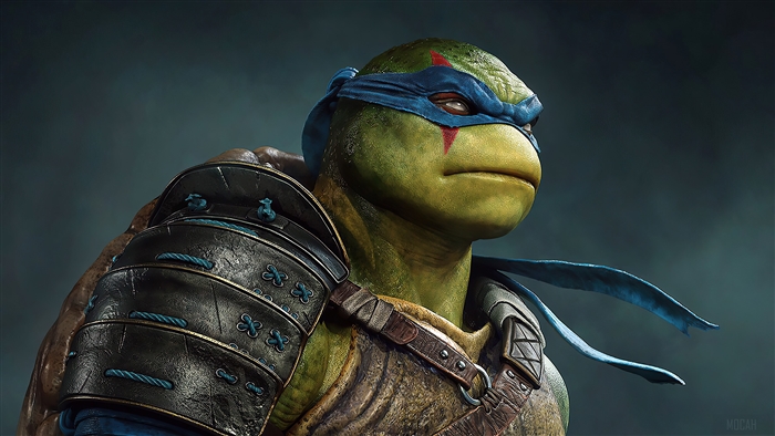 Leonardo from Teenage Mutant Ninja Turtles 4K