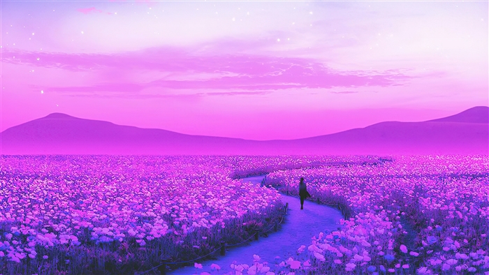 Lavender Field with a Person Walking