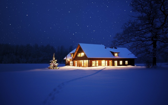 Snowy house with Christmas tree under starry night sky