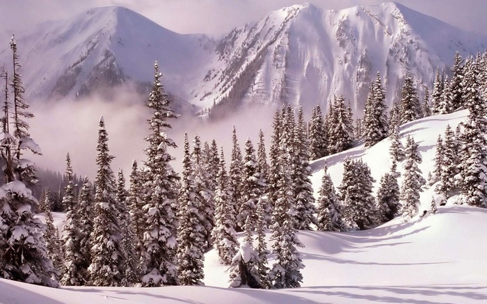 Snowy forest with mountains and mist