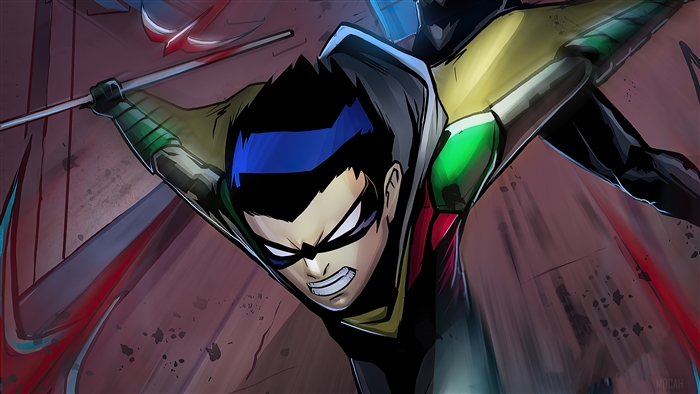 Robin Artwork