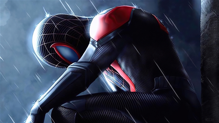 Spider-Man in the Rain 4K