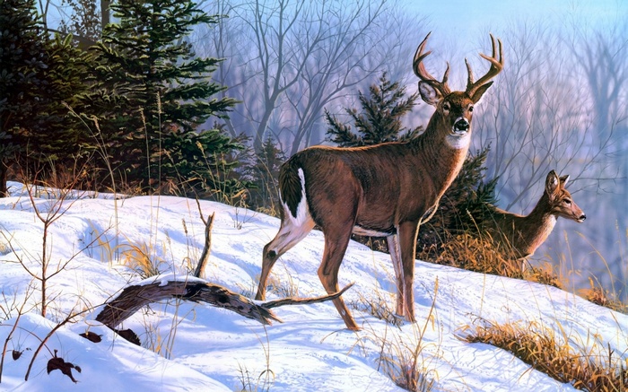 Deer in a snowy forest painting
