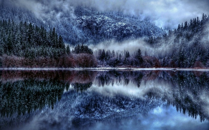 Winter forest reflected in a lake with fog