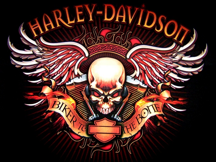 Harley-Davidson Skull Wings Motorcycle Logo