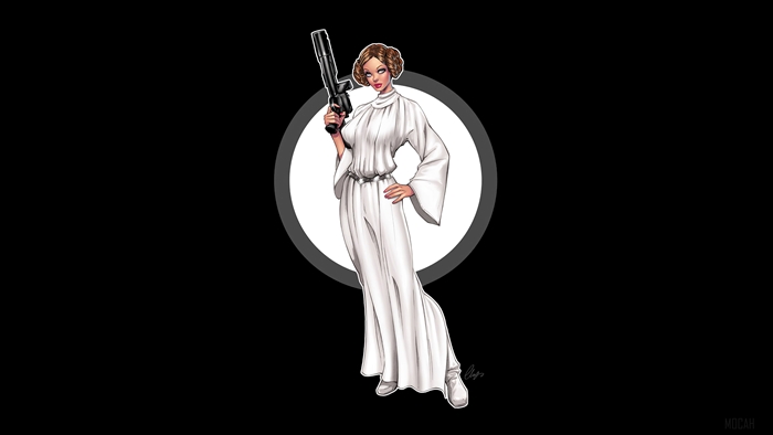 Princess Leia from Star Wars
