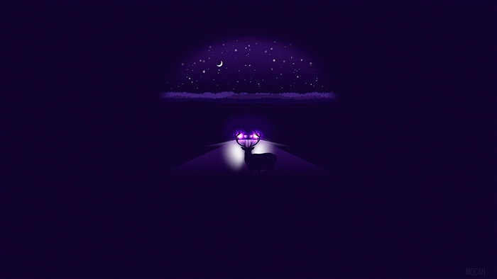 Minimalist Reindeer on Road at Night 4K