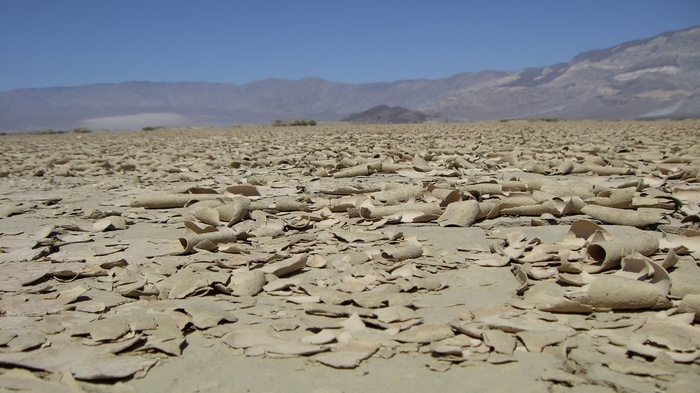 Cracked dry earth in a desert landscape